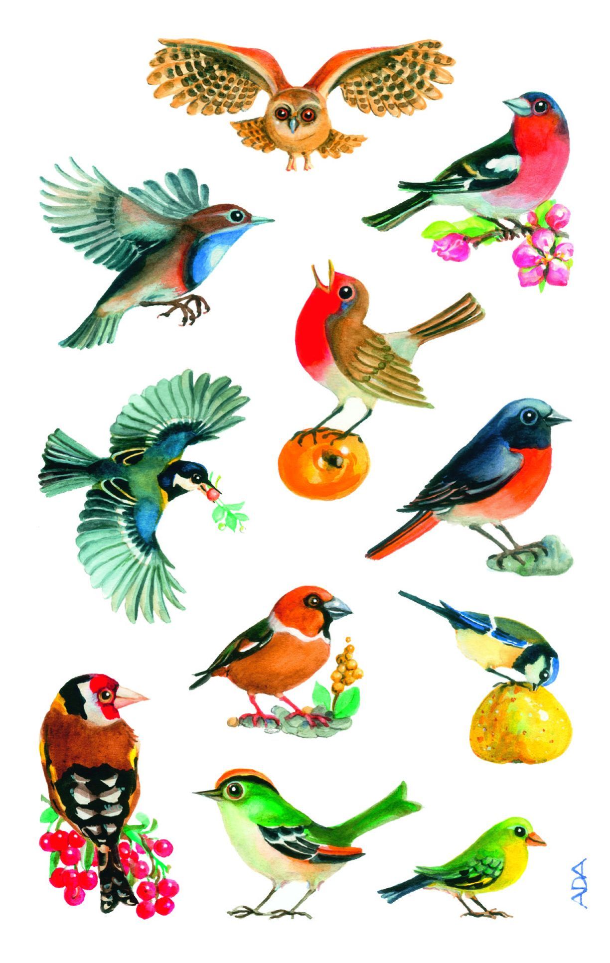 Z-Design 55713, Deko Sticker, Vögel, 3 Bogen/33 Sticker