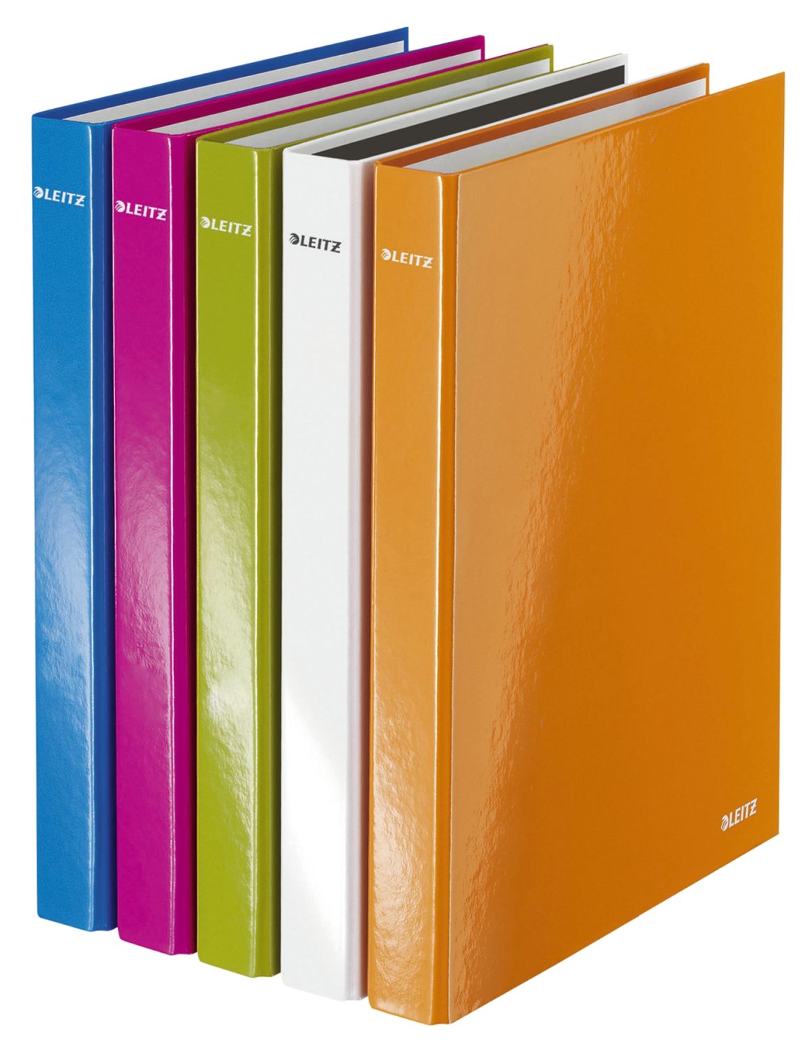 4241 Ringbuch WOW, A4 maxi, PP, 2 Ringe Ø25 mm, sortiert 4241 Ringbuch WOW, A4 maxi, PP, 2 Ringe Ø25 mm, sortiert