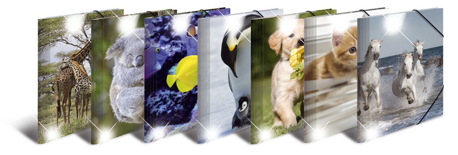 19321 Sammelmappe Glossy Tiere - A4, PP, sortiert 19321 Sammelmappe Glossy Tiere - A4, PP, sortiert