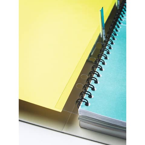 Abheftstreifen Fellows 5360501, für DIN A4, für Drahtbindung mit 34 Stanzlöcher (3:1), transparent, 100 Stück