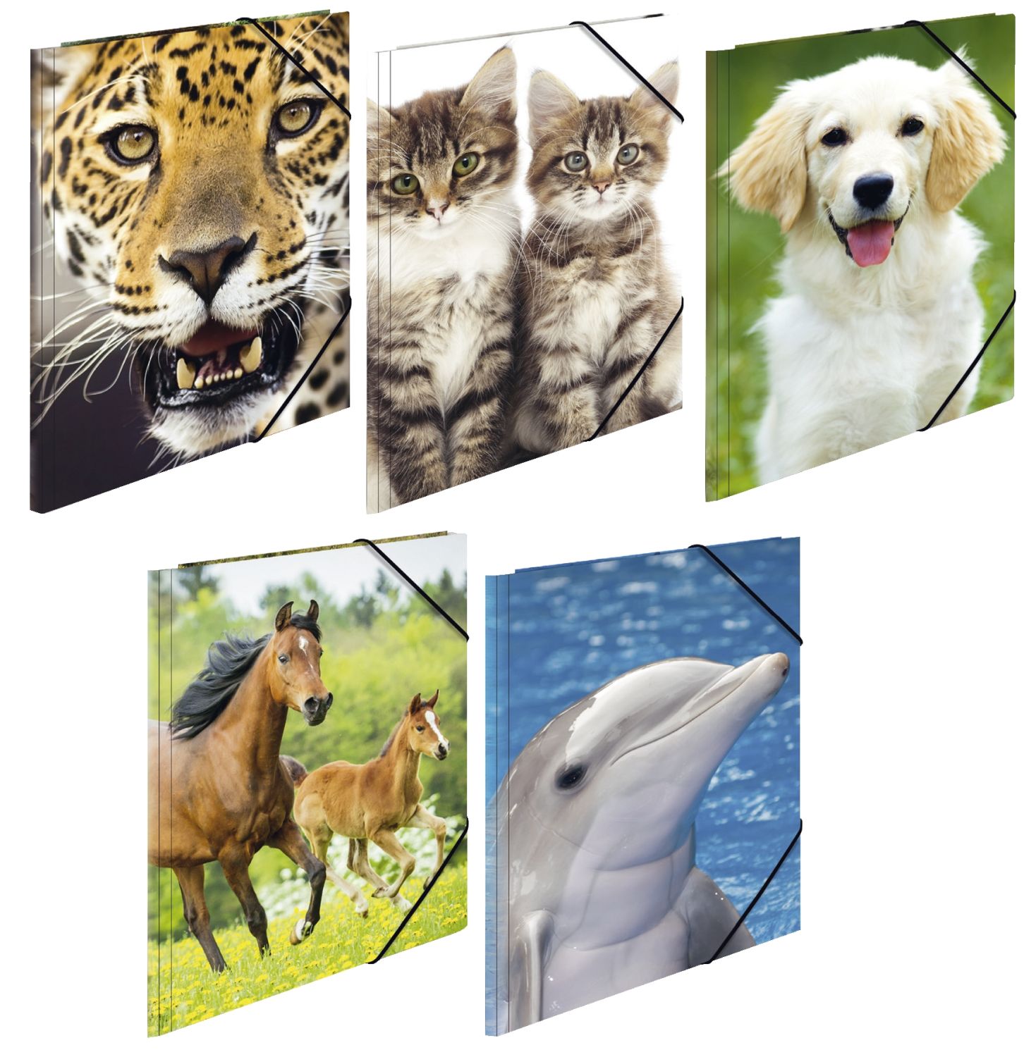7147 Sammelmappe Tiere - A4, PP, mit Gummizug, sortiert 7147 Sammelmappe Tiere - A4, PP, mit Gummizug, sortiert