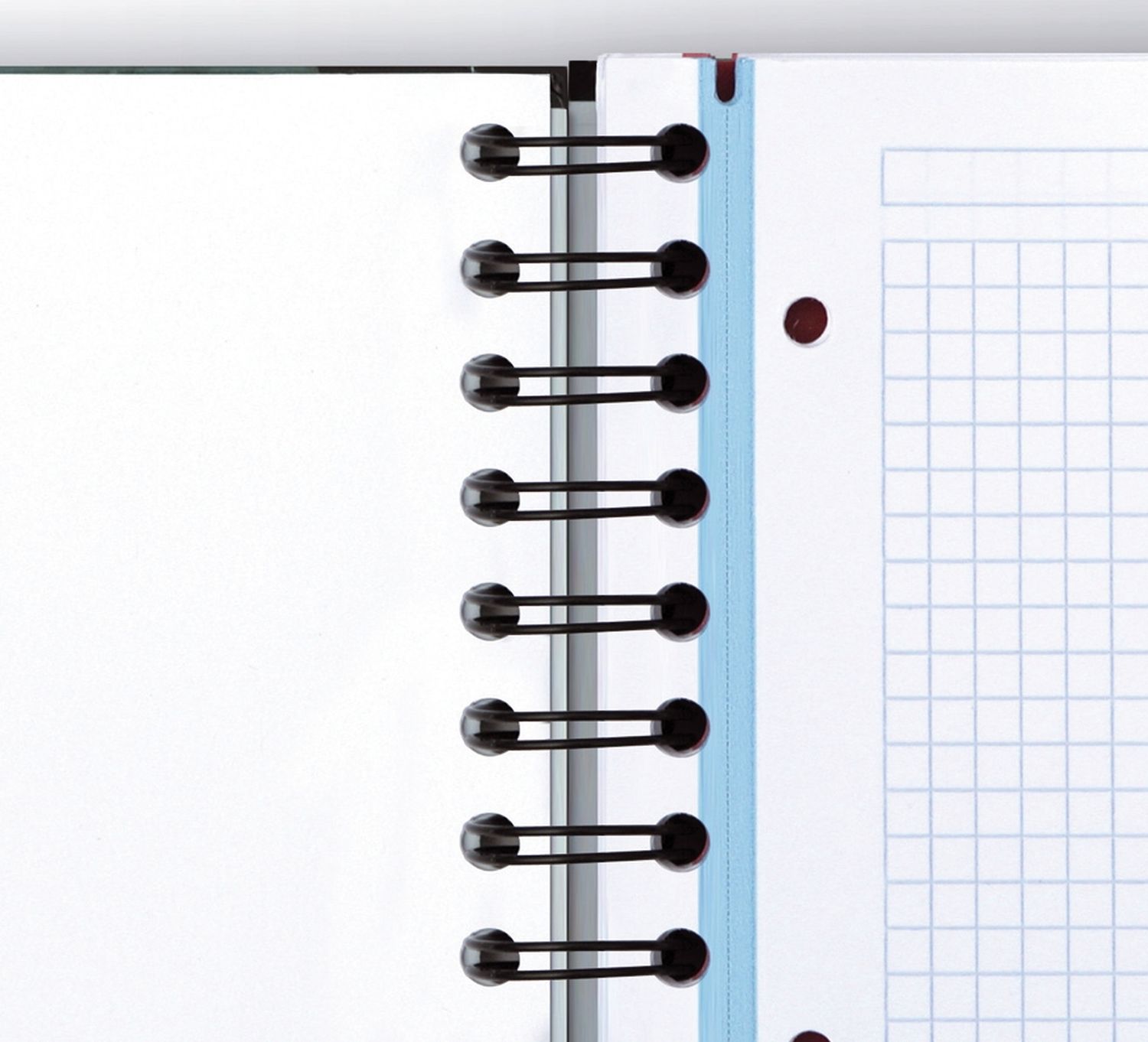 Office European Book - A4+, 5mm kariert, 120 Blatt, sortiert Office European Book - A4+, 5mm kariert, 120 Blatt, sortiert