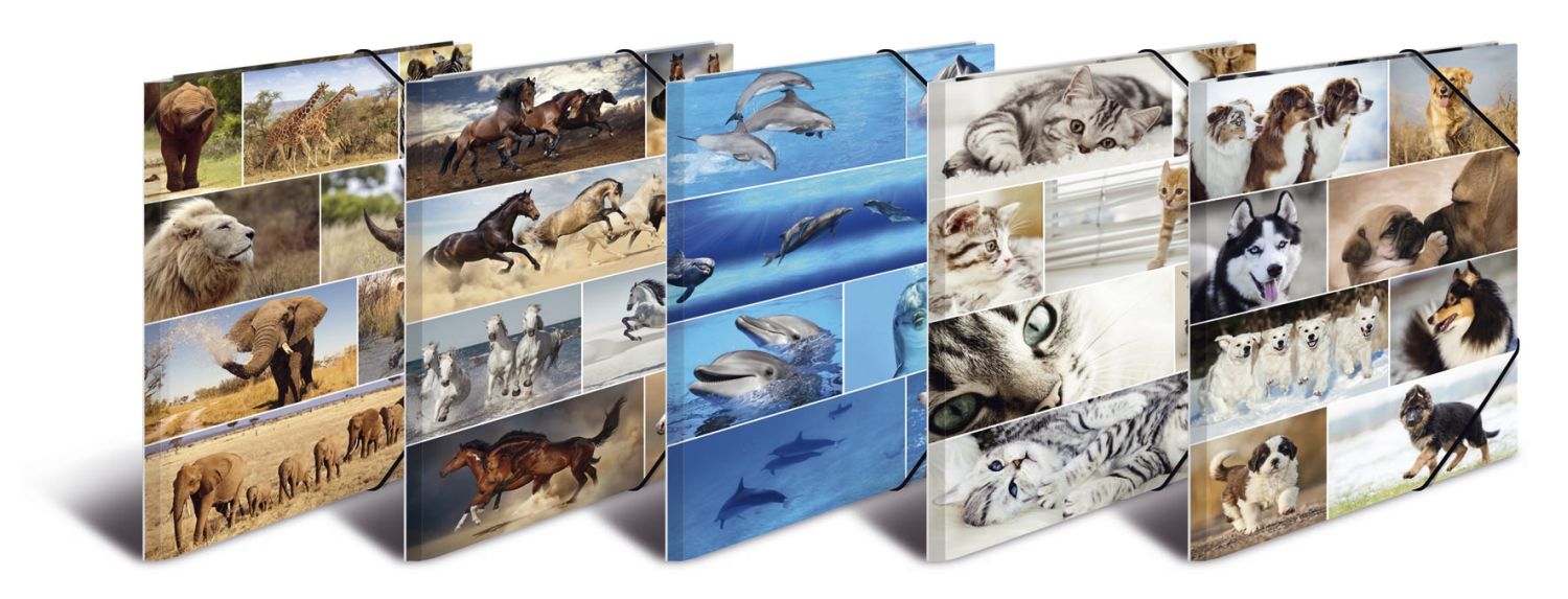19347 Sammelmappe Animals - A3, Karton, mit Gummizug, sortiert 19347 Sammelmappe Animals - A3, Karton, mit Gummizug, sortiert
