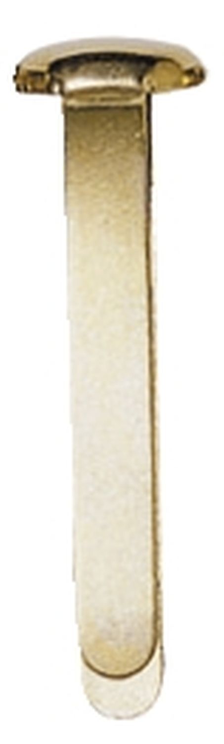 Musterbeutelklammern - 100 Stück, Rundkopf, 23 mm Musterbeutelklammern - 100 Stück, Rundkopf, 23 mm