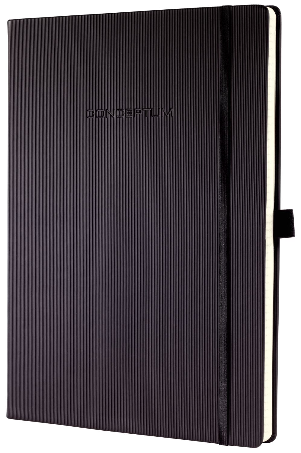 Notizbuch Conceptum - ca. A4, kariert, 194 Seiten, schwarz, Hardcover Notizbuch Conceptum - ca. A4, kariert, 194 Seiten, schwarz, Hardcover