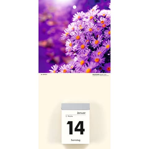 Kalenderrückwand Zettler 609774 für Abreißkalender, 14,5 x 29,5 cm, Blumenmotive 2-fach sortiert Kalenderrückwand Zettler 609774 für Abreißkalender, 14,5 x 29,5 cm, Blumenmotive 2-fach sortiert