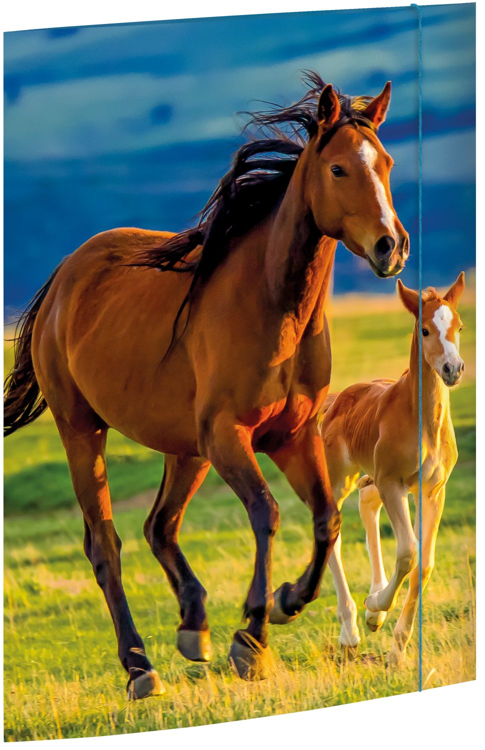 Zeichenmappe Free Horses - A3, 3 Klappen mit Gummizug, Karton Zeichenmappe Free Horses - A3, 3 Klappen mit Gummizug, Karton