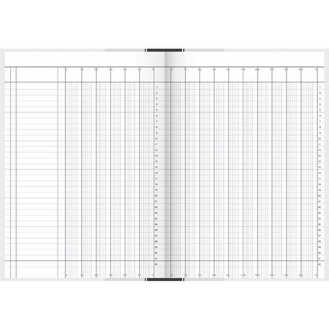 Spaltenbuch Coswig 86-1195603, DIN A4, 16 Spalten mit fester Kopfzeile, 96 Blatt