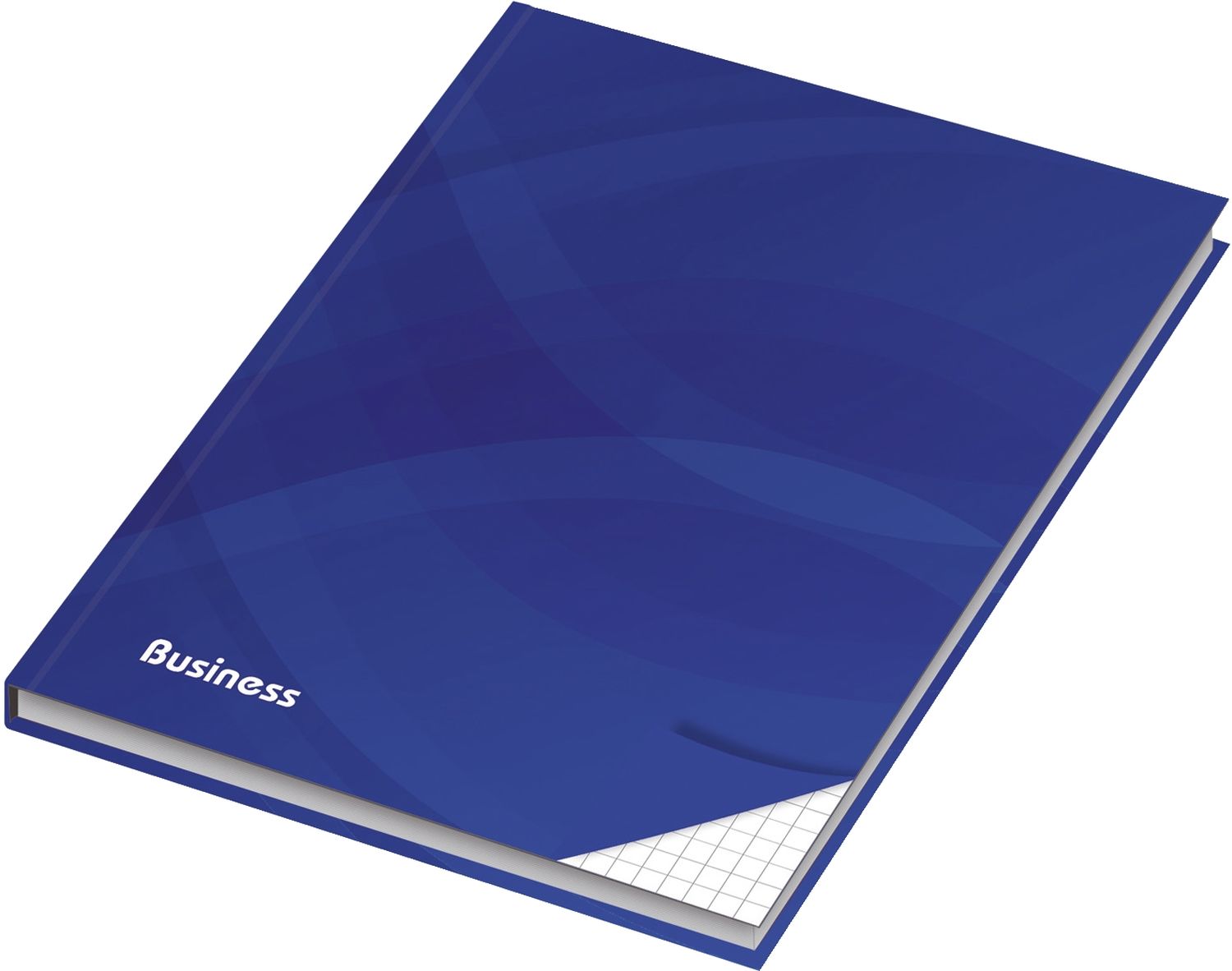 Notizbuch Business - A4, Hardcover, kariert, 96 Blatt, blau Notizbuch Business - A4, Hardcover, kariert, 96 Blatt, blau