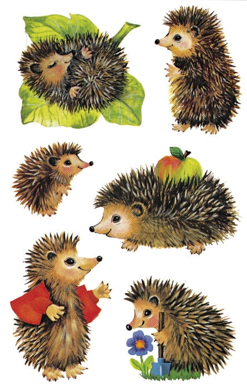 Z-Design 4306, Kinder Sticker, Igel, 3 Bogen/18 Sticker Z-Design 4306, Kinder Sticker, Igel, 3 Bogen/18 Sticker
