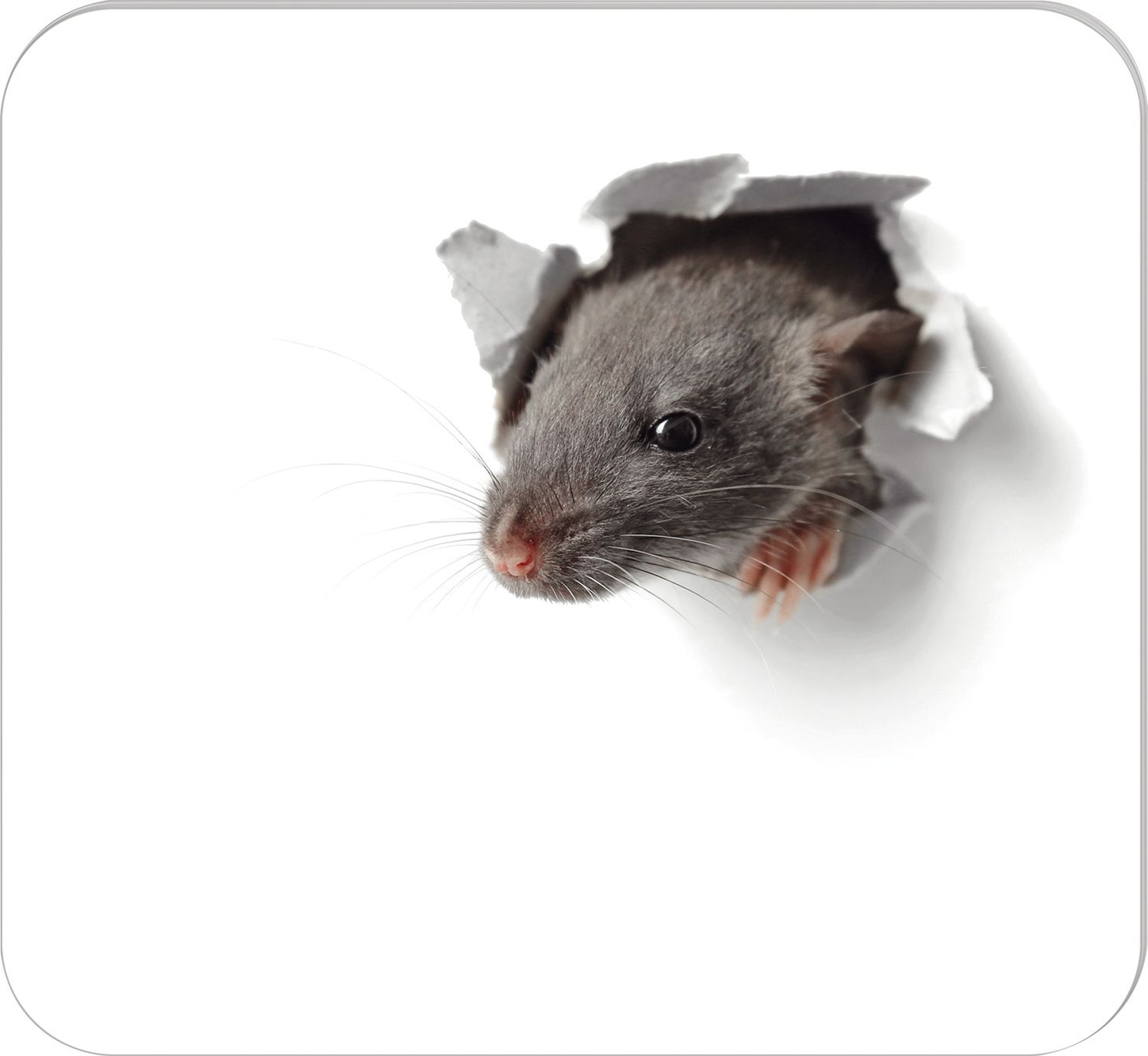 Mousepad Design 2 - 30 Blatt, 220 x 240 mm, Papierblock Mousepad Design 2 - 30 Blatt, 220 x 240 mm, Papierblock