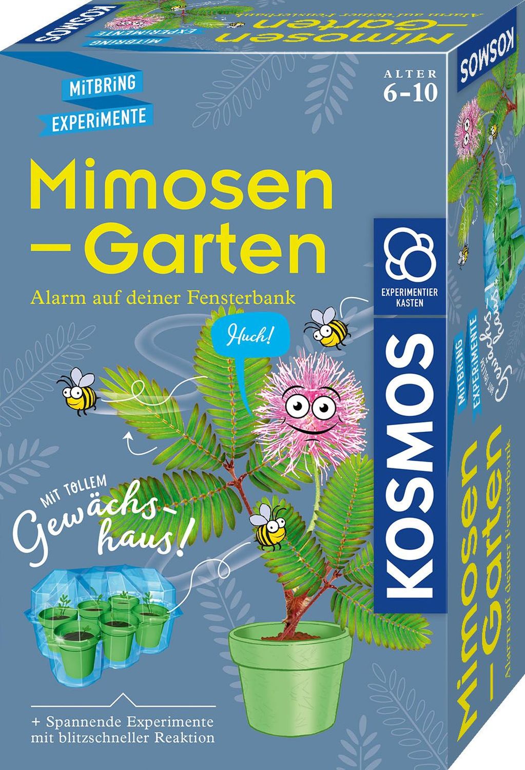 Experimentierkasten - Mimosen-Garten Experimentierkasten - Mimosen-Garten