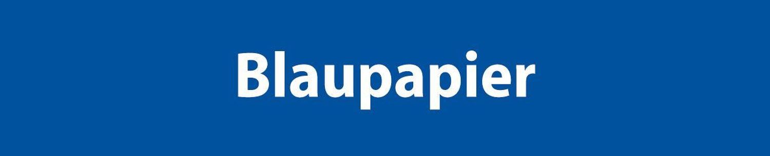 Quittungen mit Sicherheitsdruck - A6 quer, MP, BL, 2 x 50 Blatt Quittungen mit Sicherheitsdruck - A6 quer, MP, BL, 2 x 50 Blatt
