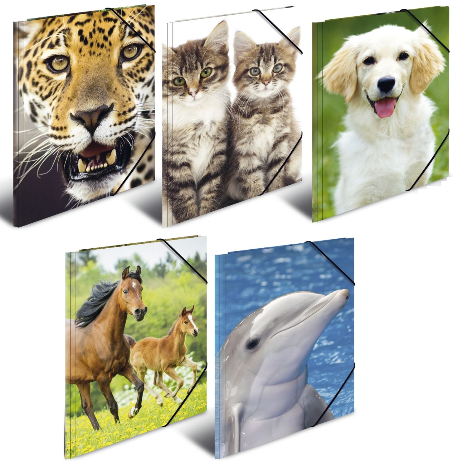 7148 Sammelmappe Tiere - A3, PP, mit Gummizug, sortiert 7148 Sammelmappe Tiere - A3, PP, mit Gummizug, sortiert
