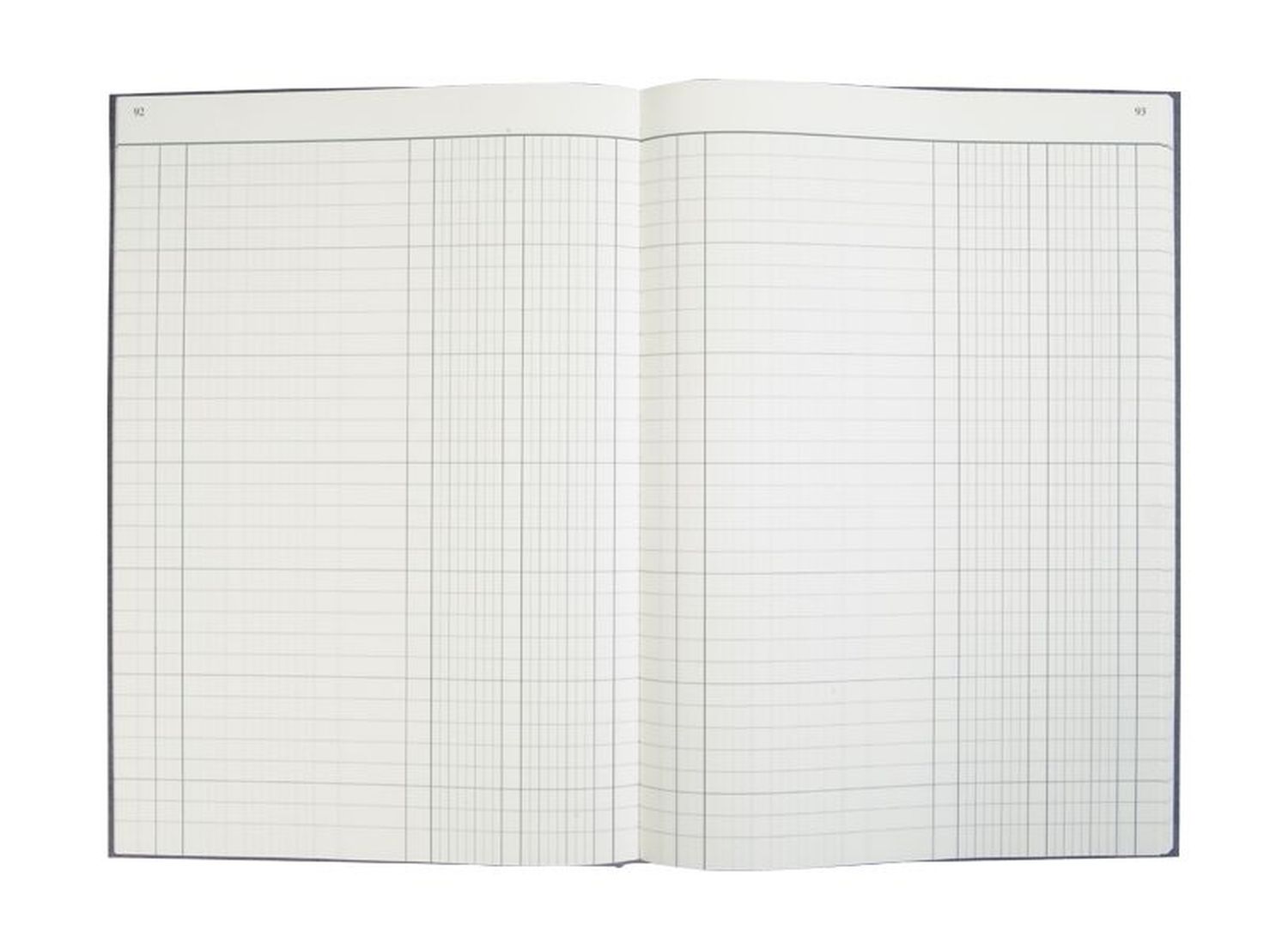 Spaltenbuch, hellblau, 2 Spalten, A4, 210 x 297 mm, 96 Blatt Spaltenbuch, hellblau, 2 Spalten, A4, 210 x 297 mm, 96 Blatt
